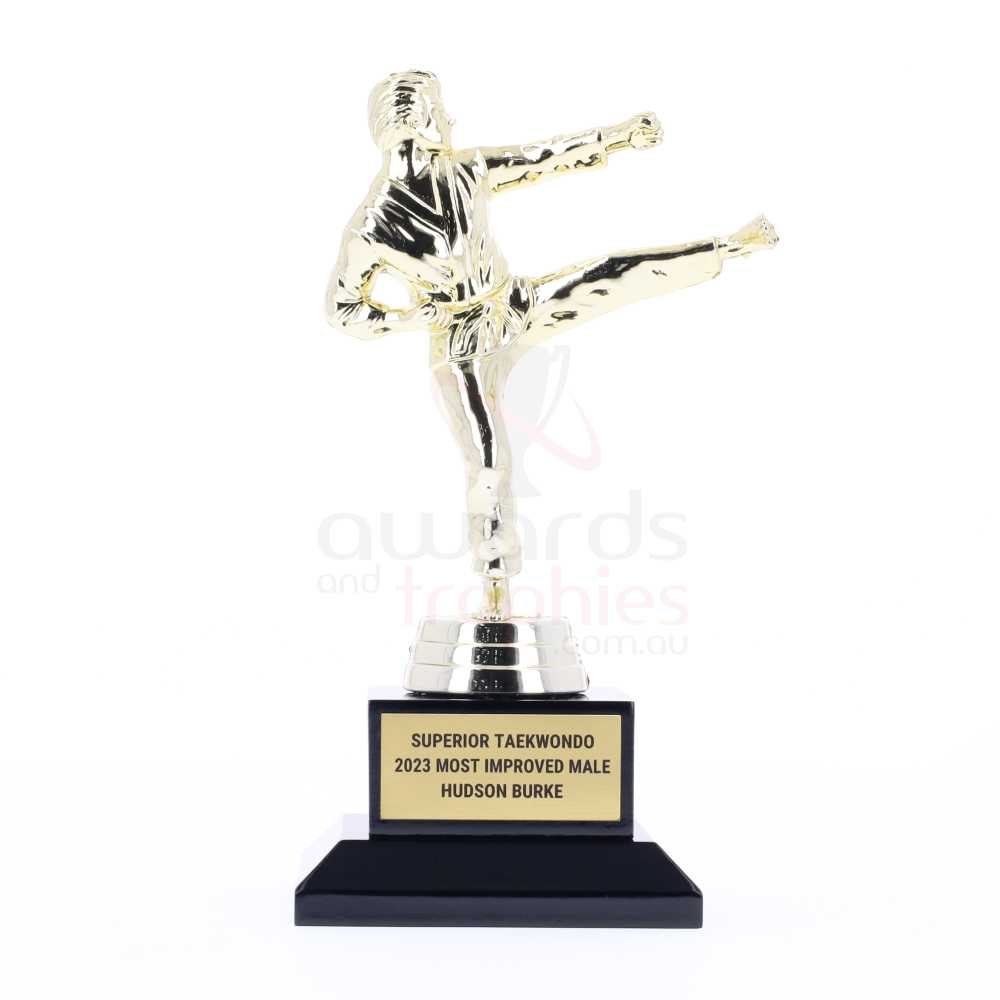 Karate Action Fig Male 160mm